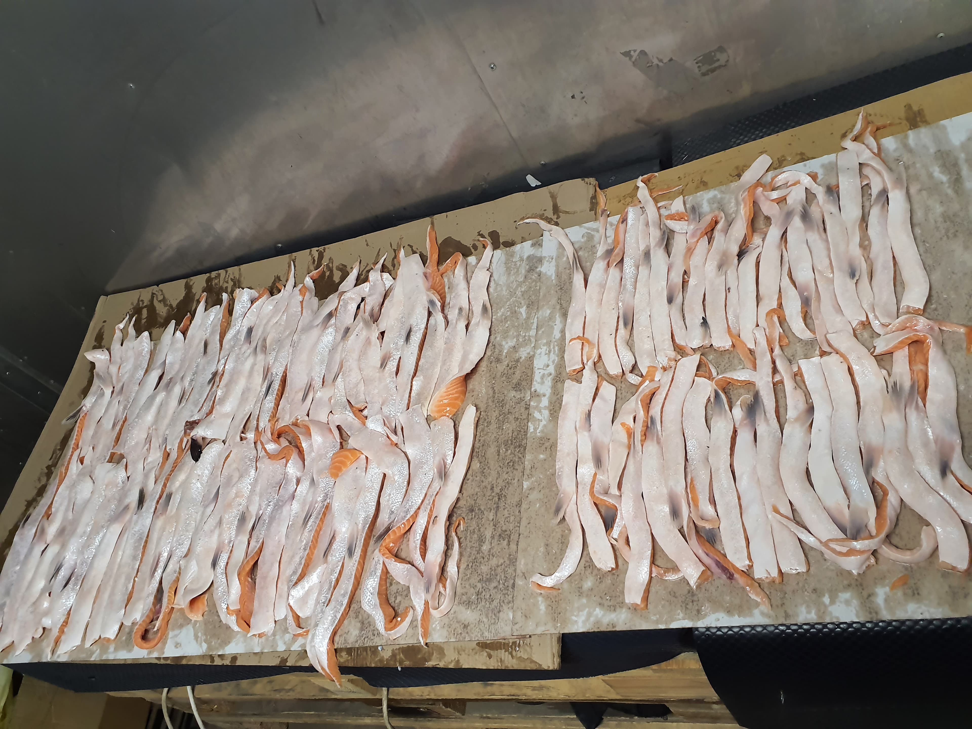 Frozen Atlantic Salmon Bellyflaps