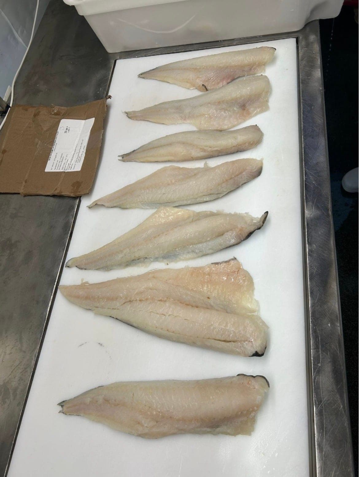 Landfrozen Atlantic Cod Fillets, 16-32oz, skin-on, PBI (Gadus morhua)