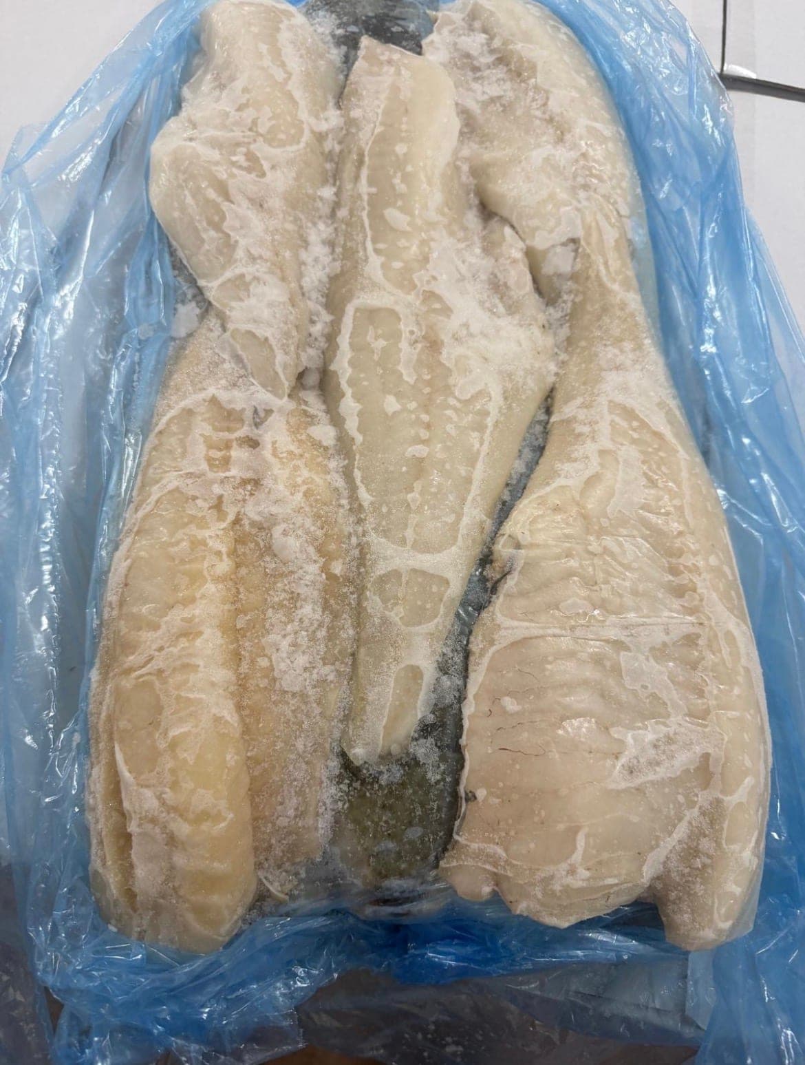 Landfrozen Atlantic Cod Fillets, 5-8oz, skin-on, PBI (Gadus morhua)