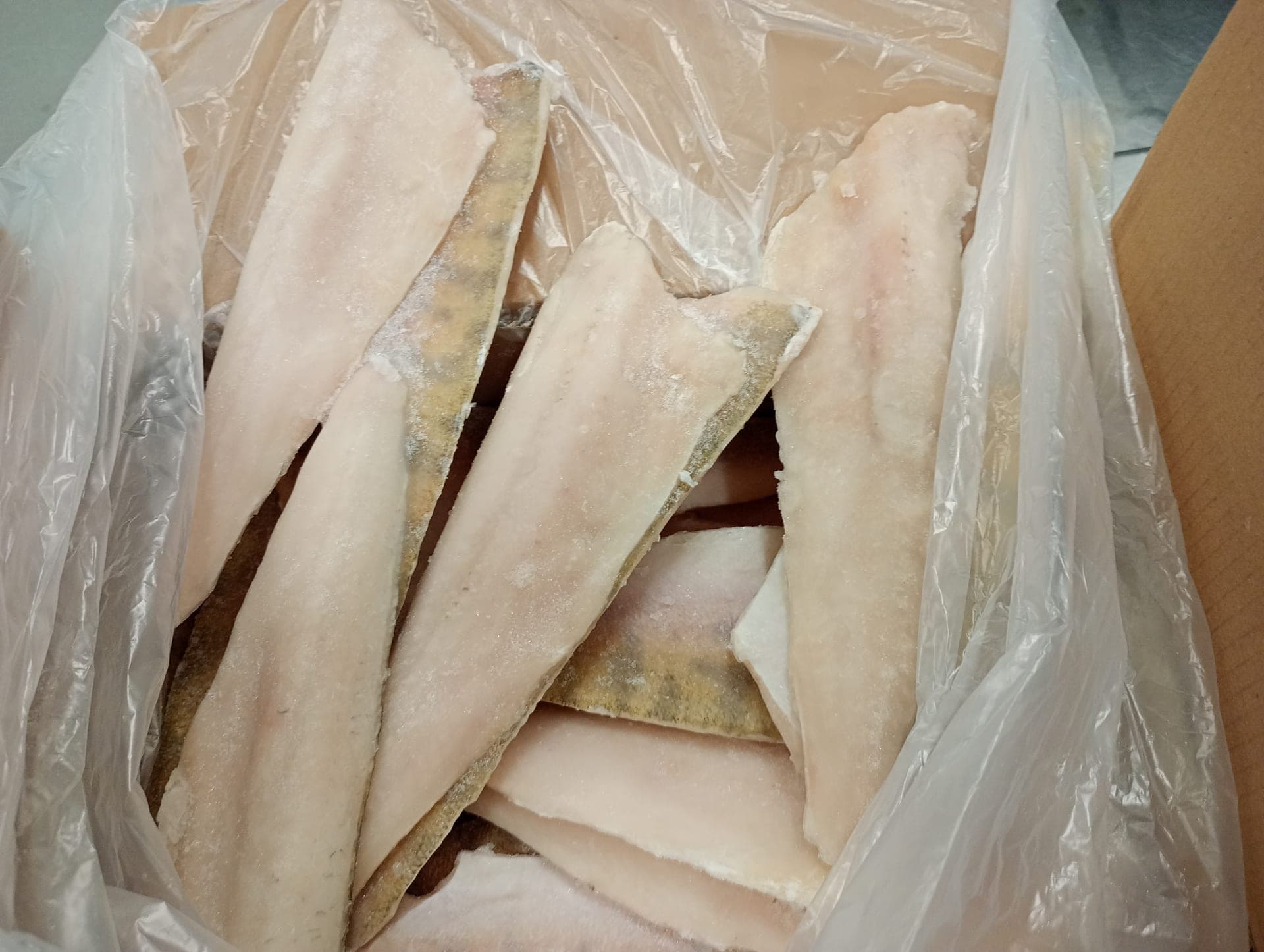 Frozen Pike Perch Fillets, Skin-on, PBI, 120-170g (Sander lucioperca)
